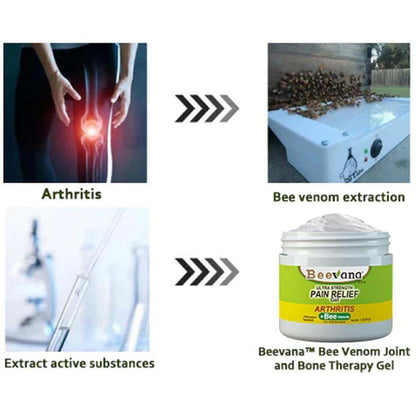 Bee Venom Pain Relief Cream | Buy 1 Get 2 Free 🔥